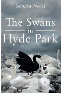 The Swans in Hyde Park