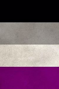 Asexual Pride Flag Journal