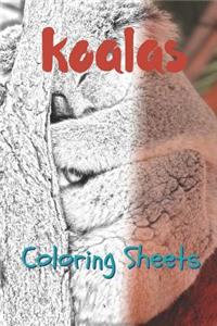 Koala Coloring Sheets