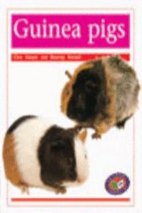 Guinea Pigs PM Non Fiction Animal Facts Level 14&15 Pets Orange