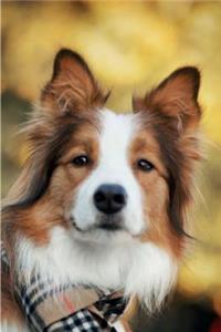 Border Collie June Notebook & Journal. Productivity Work Planner & Idea Notepad