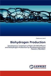 Biohydrogen Production