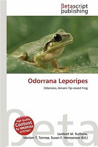 Odorrana Leporipes