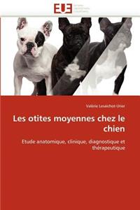 Les Otites Moyennes Chez Le Chien