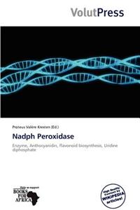 Nadph Peroxidase