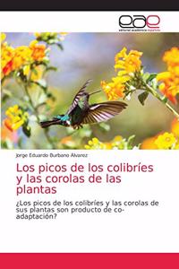 picos de los colibríes y las corolas de las plantas