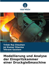 Modellierung und Analyse der Einspritzkammer einer Druckgießmaschine