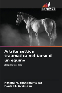 Artrite settica traumatica nel tarso di un equino