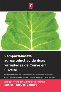 Comportamento agroproductivo de duas variedades de Couve em Cuvelai