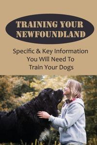 Training Your Newfoundland