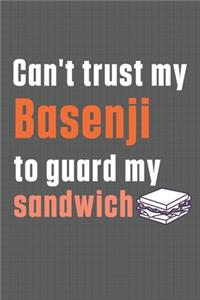 Can't trust my Basenji to guard my sandwich