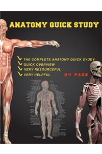 anatomy quick study