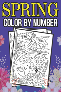 Spring Color By Number