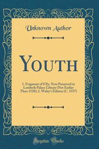 Youth: 1. Fragment of 8 Pp. Now Preserved in Lambeth Palace Library (Not Earlier Than 1528); 2. Waley's Edition (C. 1557) (Classic Reprint)