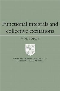 Functional Integrals and Collective Excitations