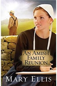An Amish Family Reunion