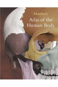 Martini's Atlas of the Human Body