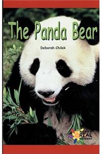 Panda Bear