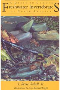 A Guide to Common Freshwater Invertebrates of North America