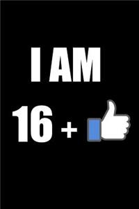 I Am 17