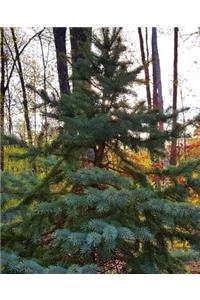 Lone Evergreen School Composition Book