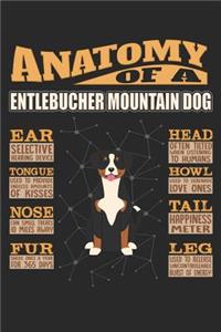 Anatomy Of A Entlebucher Mountain Dog