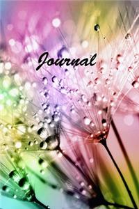Journal