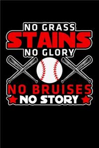 No Grass Stains No Glory No Bruises No Story