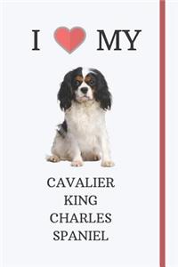 I Love My Cavalier King Charles Spaniel