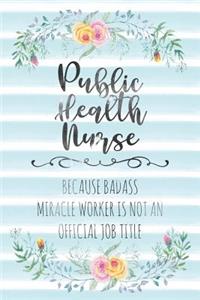 Public Health Nurse