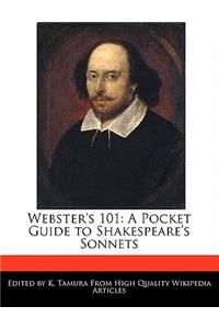Webster's 101