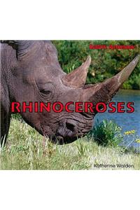 Rhinoceroses