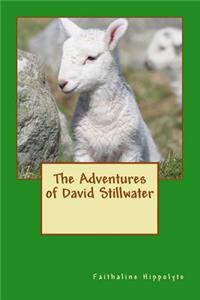 The Adventures of David Stillwater