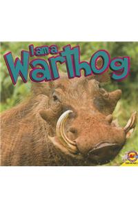 I Am a Warthog