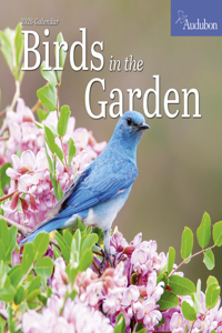 Audubon Birds in the Garden Wall Calendar 2026