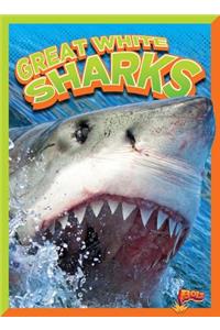 Great White Sharks