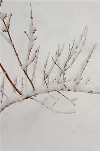 2020 Daily Planner Snowy Branch 388 Pages