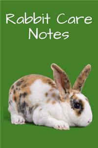 Rabbit Care Notes