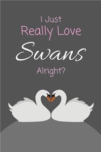 I Just Really Love Swans Alright?