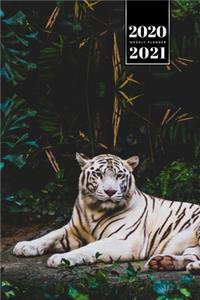 Tiger Week Planner Weekly Organizer Calendar 2020 / 2021 - Open Mouth