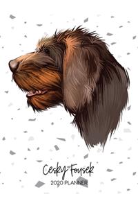 Cesky Fousek 2020 Planner