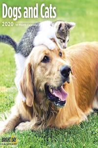 DOGS & CATS WALL CALENDAR 2020