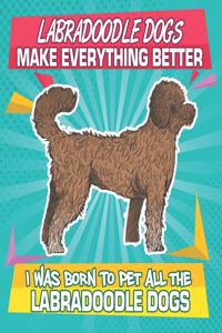 Labradoodle Dogs Make Everything Better I Was Born To Pet All The Labradoodle Dogs