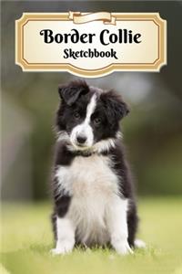 Border Collie Sketchbook