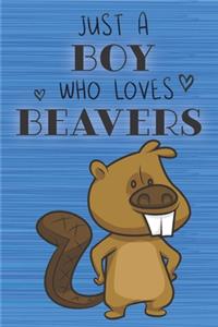 Just a Boy Who Loves Beavers