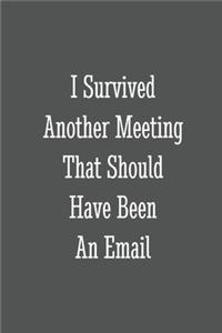 I Survived Another Meeting That Should Have Been An Email