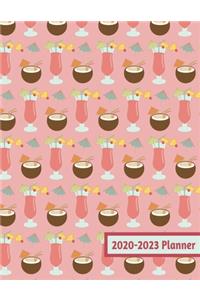 2020-2023 Planner