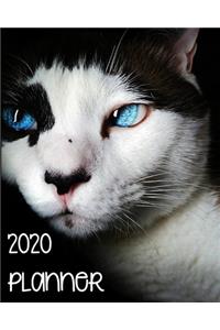 2020 Weekly Planner: The Ultimate Weekly Planner 8x10 136 pages just for Cat Lovers!