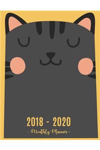 2018 - 2020 Monthly Planner