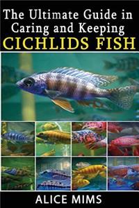 The Ultimate Guide in Caring and Keeping Cichlids Fish
